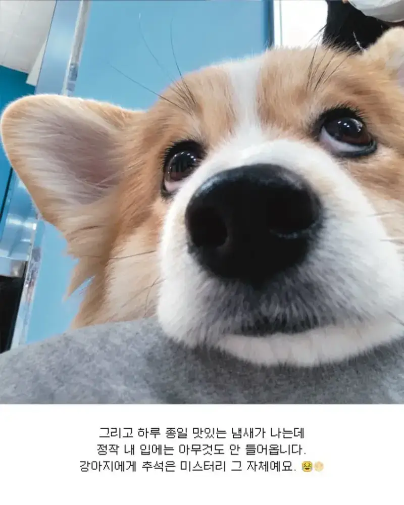 1790463795457885.webp