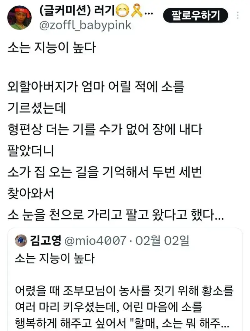 생각보다 지능이 높은 짐승의 내용을 보여주는 이미지 관련 이미지 3