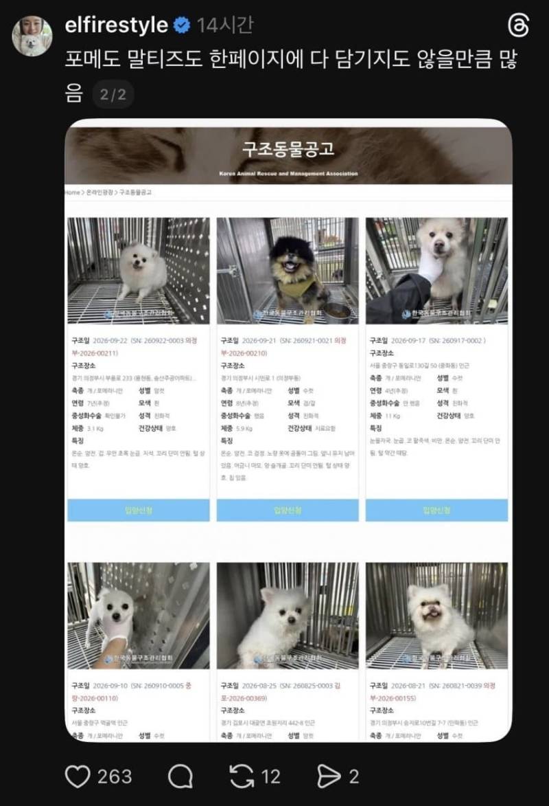 추석연휴 유기견 급증의 내용을 보여주는 이미지 관련 이미지 2