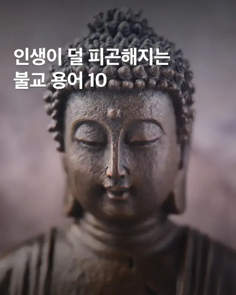 인생이 덜 피곤해지는 불교 철학의 내용을 보여주는 이미지