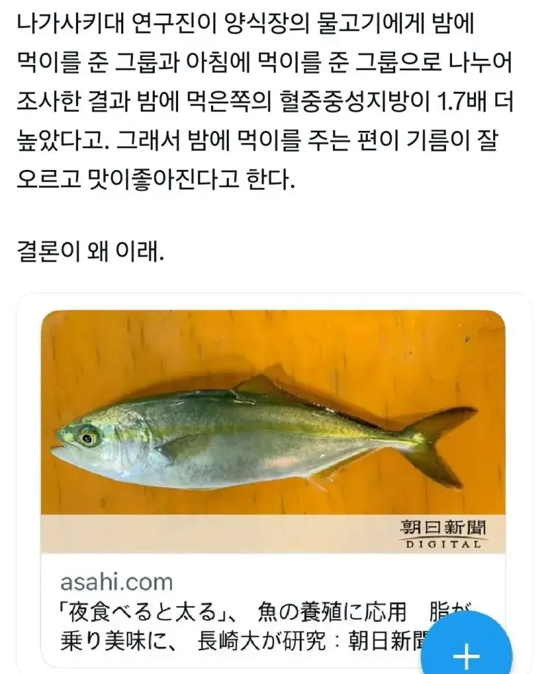 3ciVRf3XDOgm2y8iMKyaoi.webp