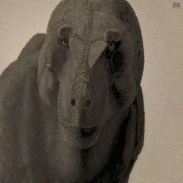1790553260788724.webp