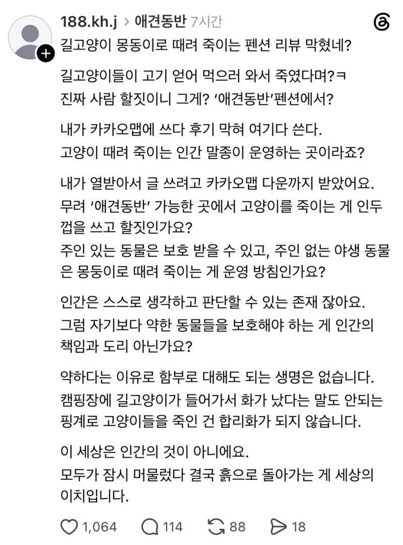 글램핑장에 길고양이 들어왔다고 때려죽인 사장의 내용을 보여주는 이미지 관련 이미지 2