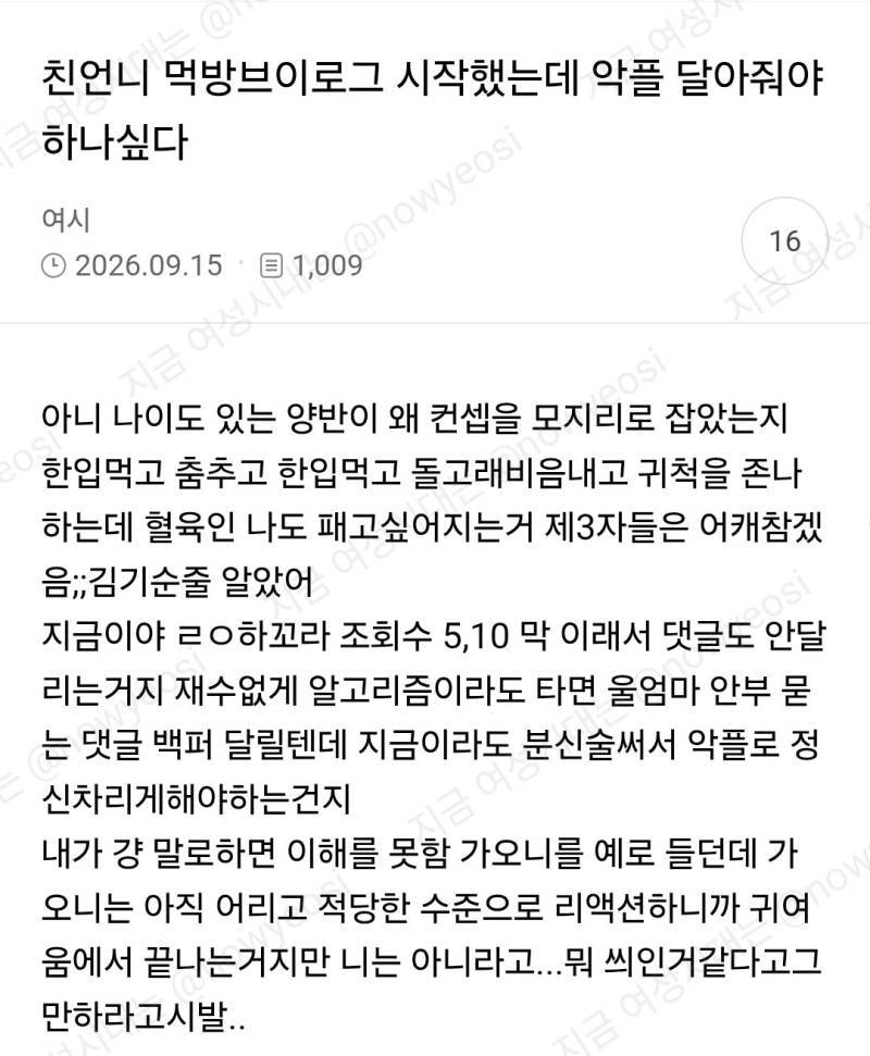 친언니 먹방 브이로그 시작했는데 악플 달아줘야하나싶다의 내용을 보여주는 이미지