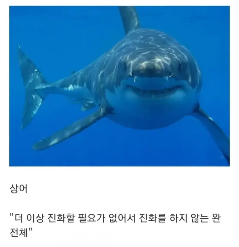 1790561487507142.webp