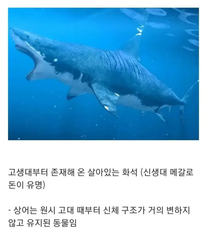 1790561487423257.webp