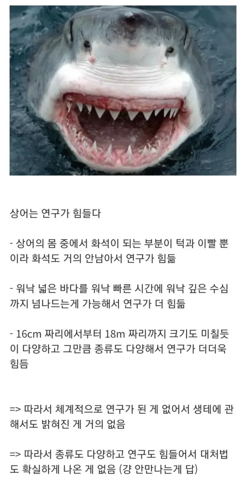 1790561487827927.webp