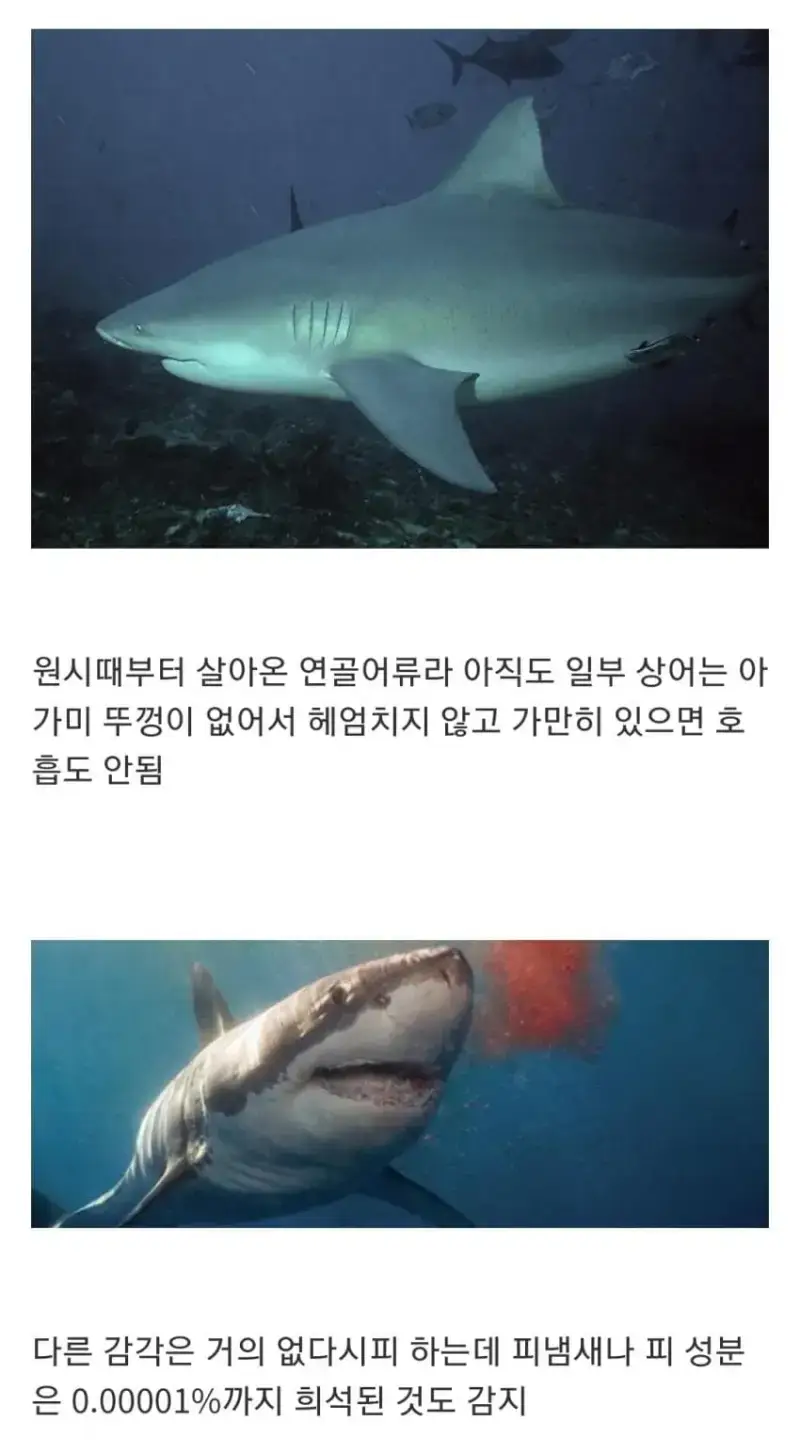 1790561487458556.webp