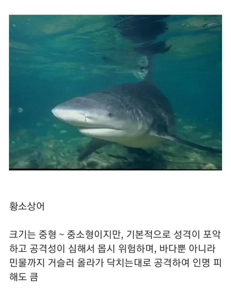 1790561487569811.webp