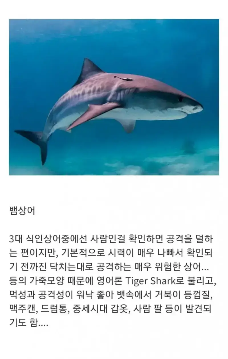 1790561487523706.webp