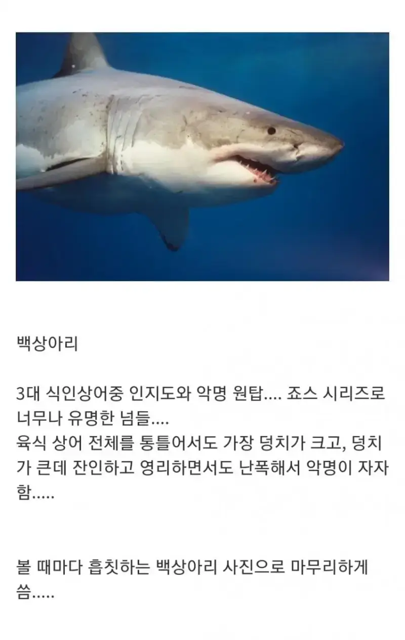 1790561487752312.webp