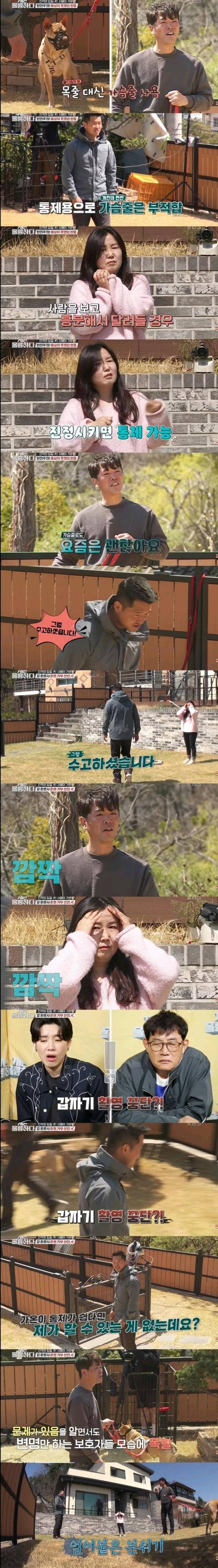 개물림 사고 대부분의 원인.jpg 개물림 사고 대부분의 원인.jpg 개물림 사고 대부분의 원인.jpg 개물림 사고 대부분의 원인.jpg