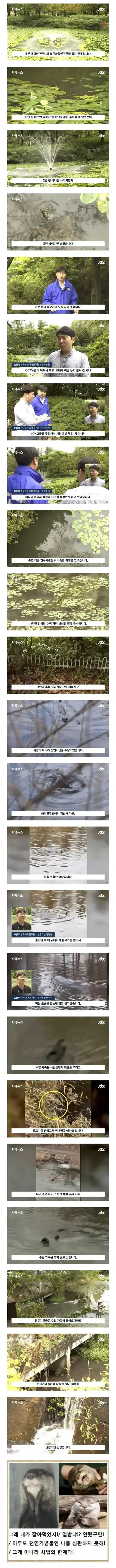 잉어 수백마리 훔쳐 5천만원 손실냈는데도 사법의 한계로 처벌 못한 사건의 내용을 보여주는 이미지
