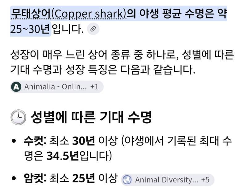 상어에 대해 알아보자의 내용을 보여주는 이미지 관련 이미지 4