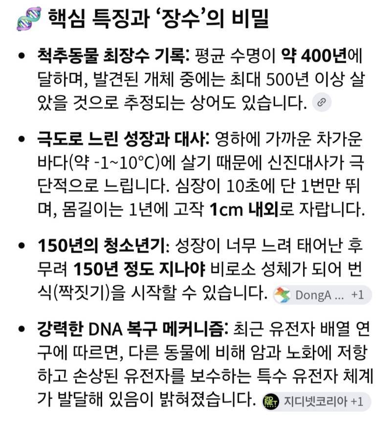 상어에 대해 알아보자의 내용을 보여주는 이미지 관련 이미지 6