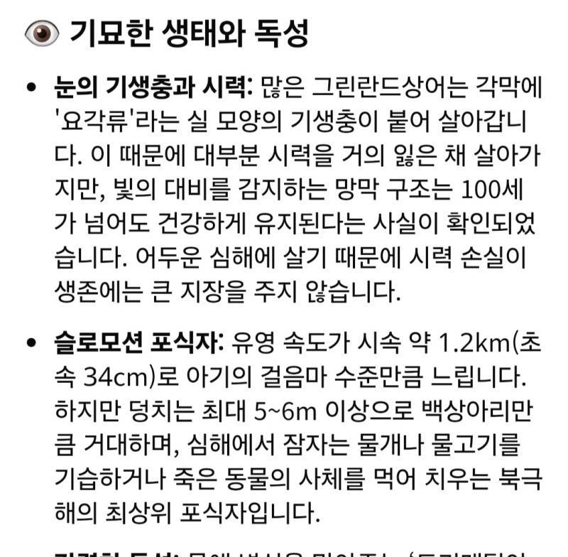 상어에 대해 알아보자의 내용을 보여주는 이미지 관련 이미지 7