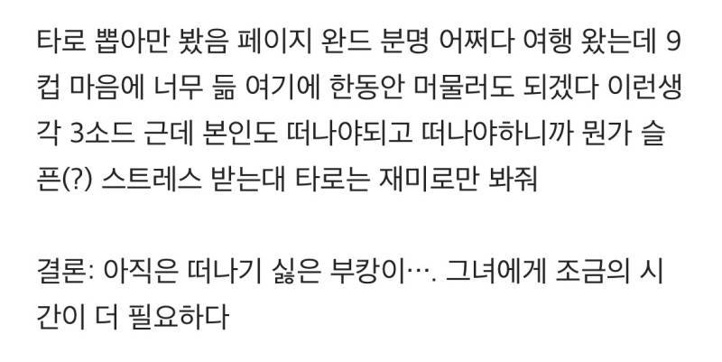 부캉이가 왜 북항 마음에 들었는지 타로 봤음의 내용을 보여주는 이미지 관련 이미지 2