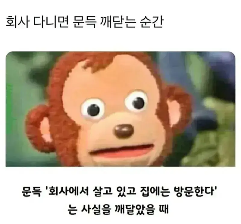1790681409718606.webp