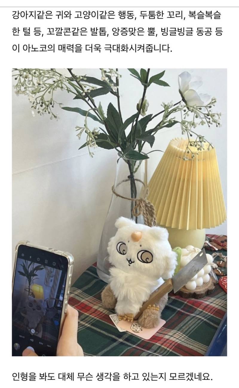 먼작귀에서 고양이같다는 반응 정말 많이 나오는 캐릭의 내용을 보여주는 이미지 관련 이미지 5
