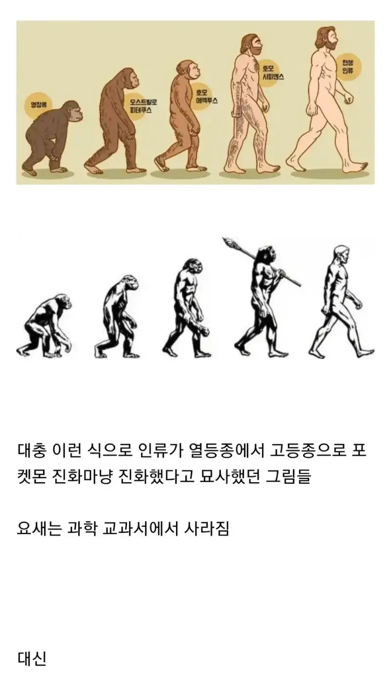 1790735655348693.webp