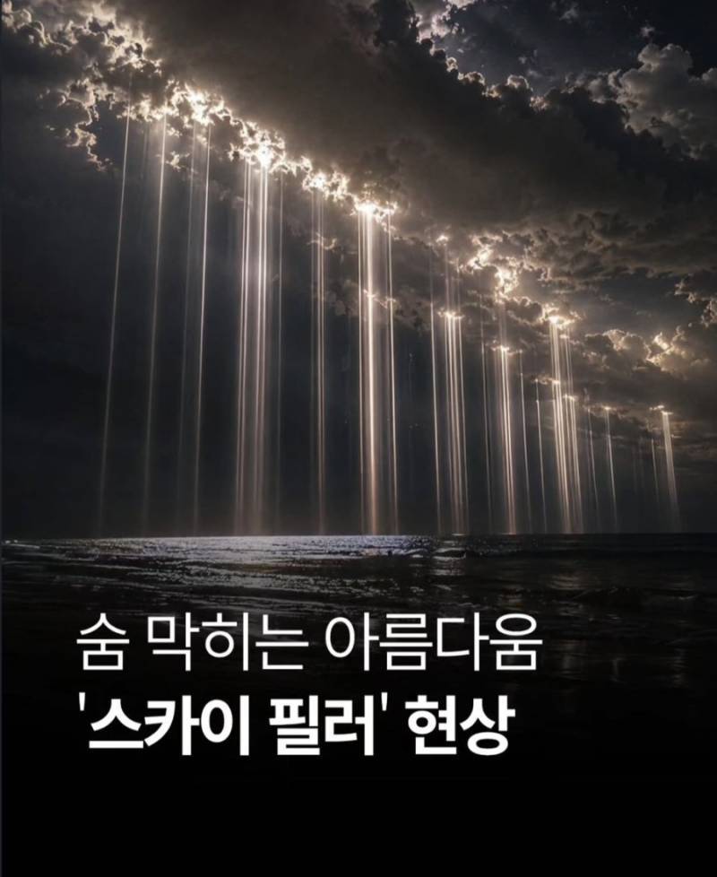 1790820112001918.jpg