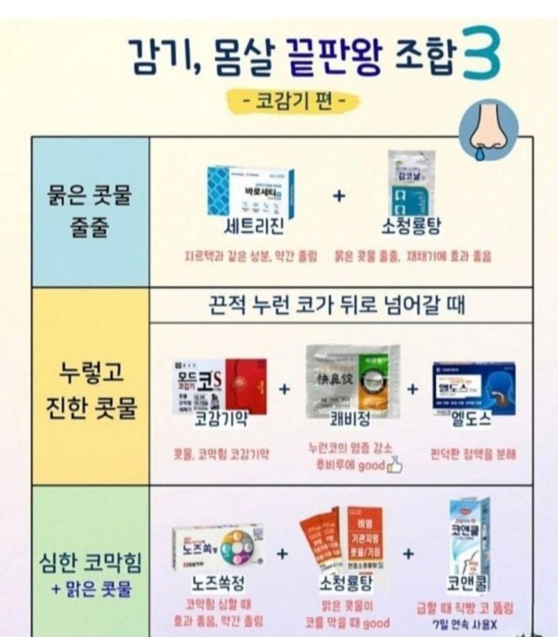 약사가 인정하는 감기 몸살 끝판왕의 내용을 보여주는 이미지 관련 이미지 3