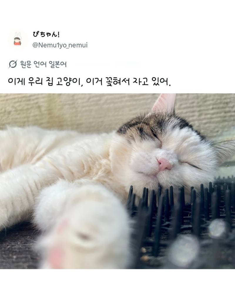 6IztKjGdFuMCgY2E6CSM80.jpg
