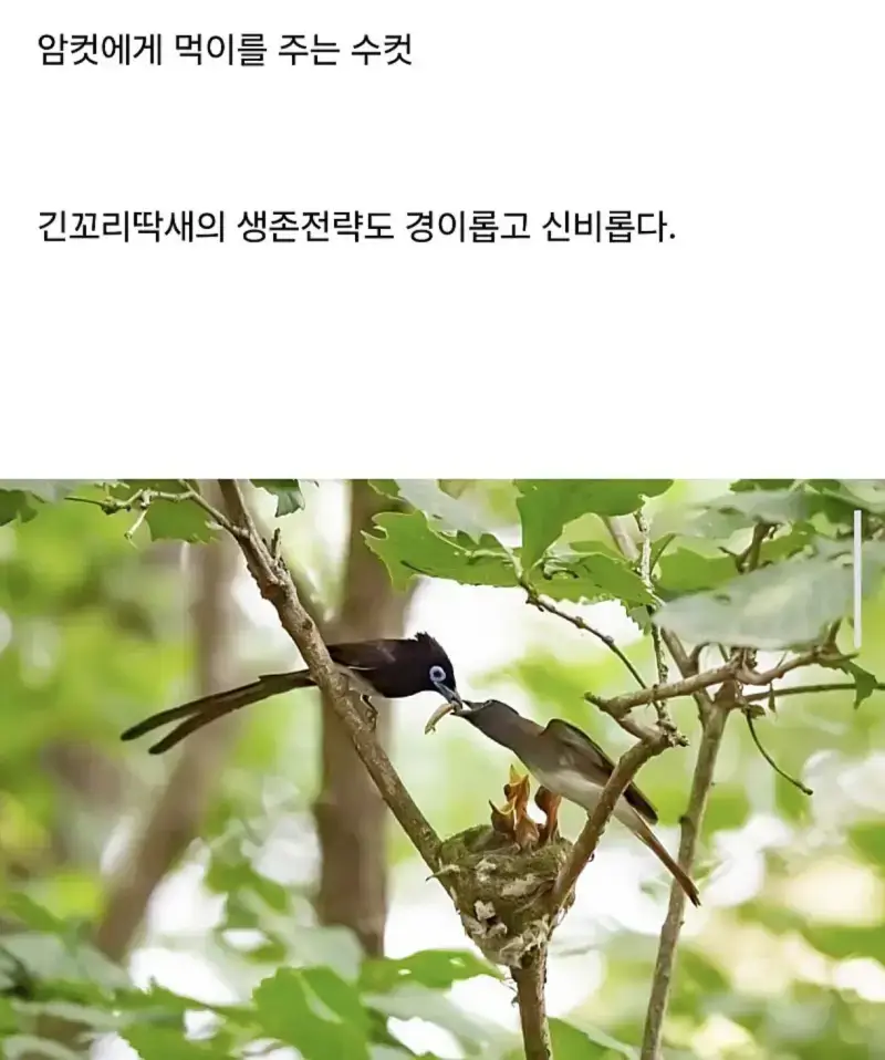 1790982174133386.webp