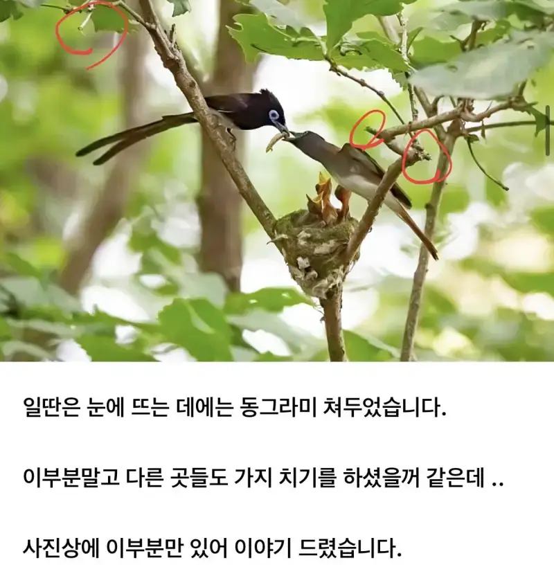 1790982175769077.webp