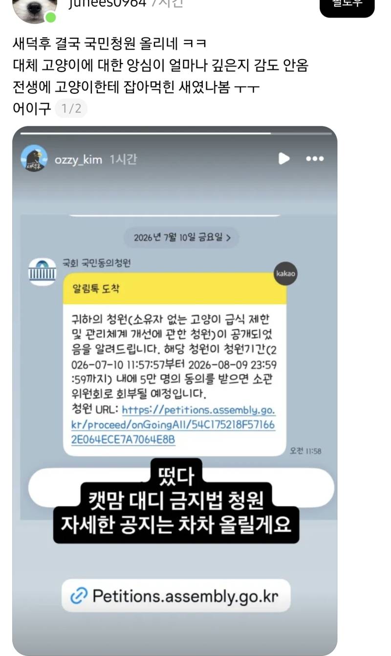 고양이 밥주지말라는 국민 청원 올린 새덕후의 내용을 보여주는 이미지