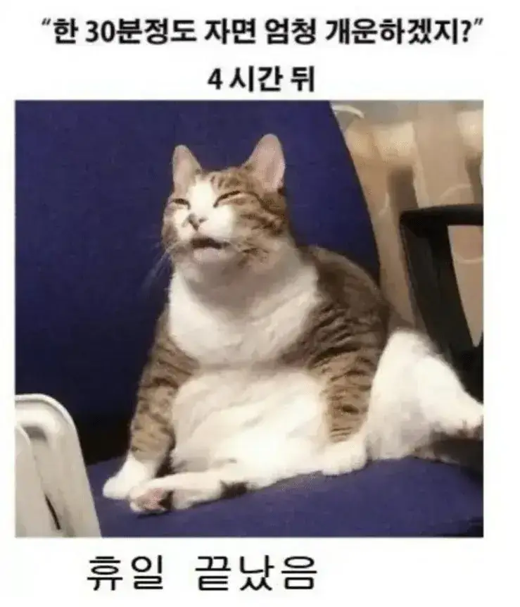 주말에 낮잠자면 ㅈ되는 이유의 내용을 보여주는 이미지