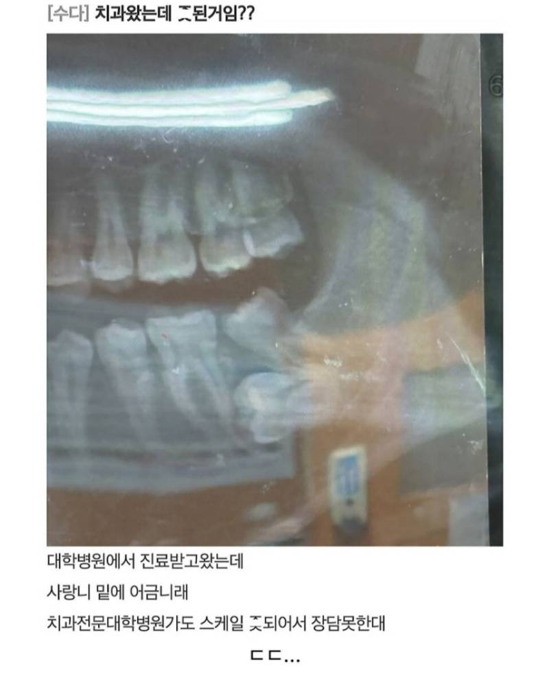 1cEicPs6hmUYCo2w408Y2G.jpg