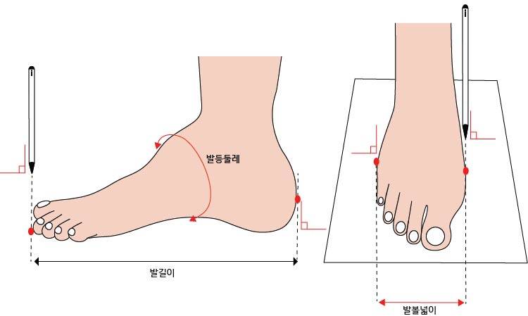 여,남 신발사이즈 왕발 기준의 내용을 보여주는 이미지