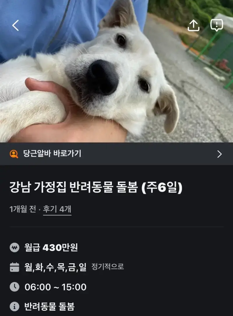 당근에 올라온 월급 430만원짜리 알바의 내용을 보여주는 이미지