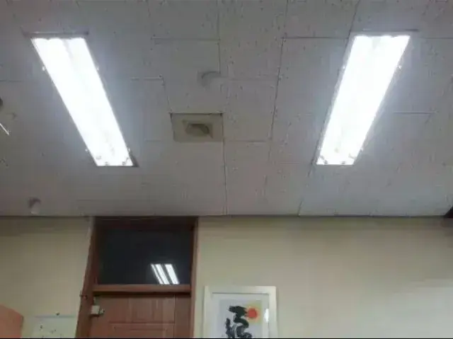 반박불가) 인생 가장 우울한 하루의 내용을 보여주는 이미지 관련 이미지 10