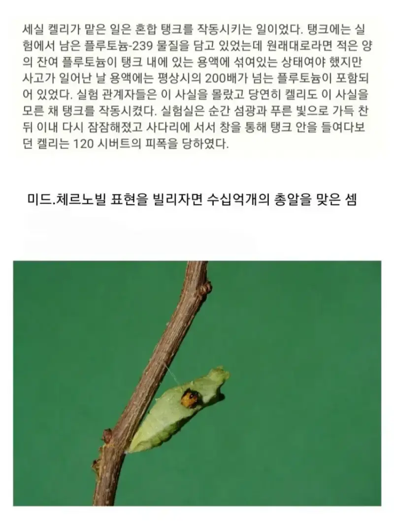 1791180213407093.webp