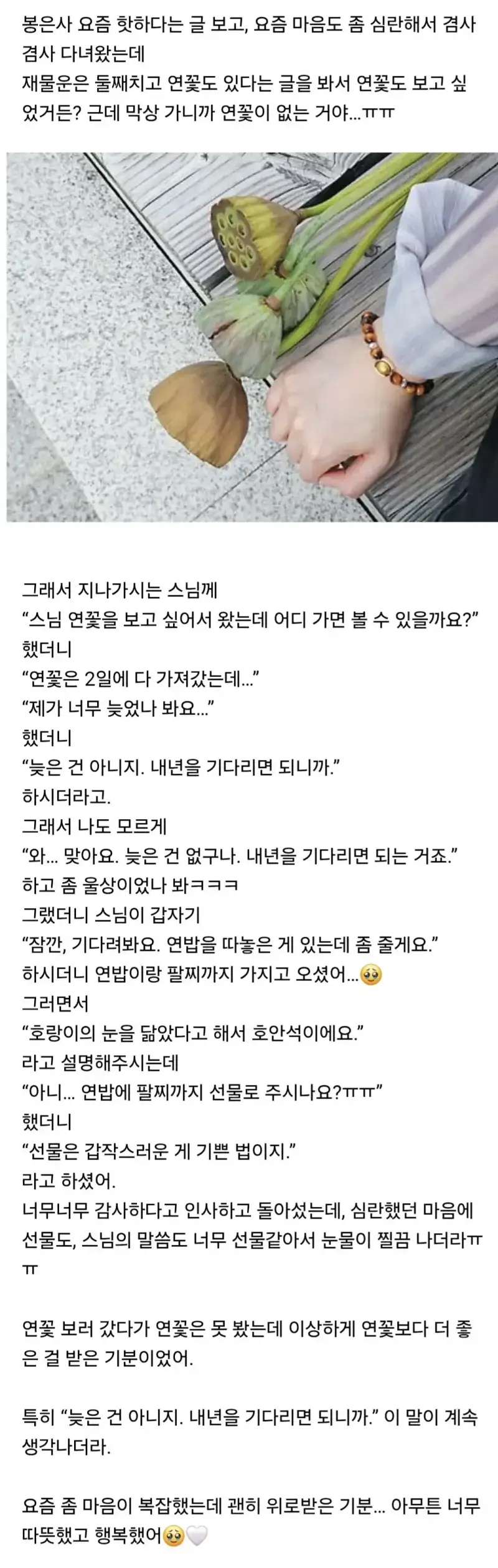 봉은사에 갔다가 힐링 제대로 했어의 내용을 보여주는 이미지