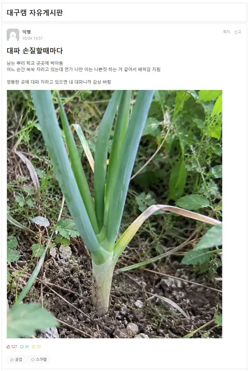 남은 대파를 학교에 처리하는 사람의 내용을 보여주는 이미지