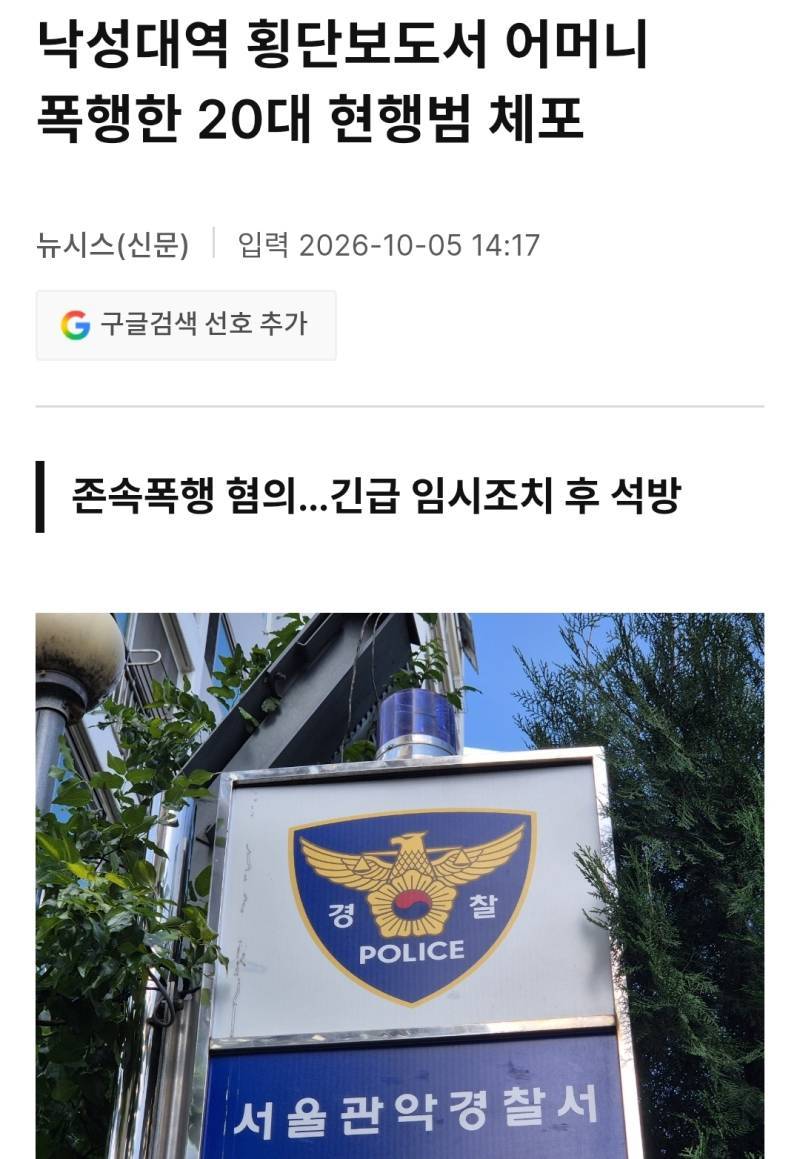 낙성대역 횡단보도서 어머니 폭행한 20대 현행범 체포의 내용을 보여주는 이미지