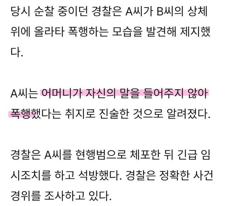 낙성대역 횡단보도서 어머니 폭행한 20대 현행범 체포의 내용을 보여주는 이미지 관련 이미지 3