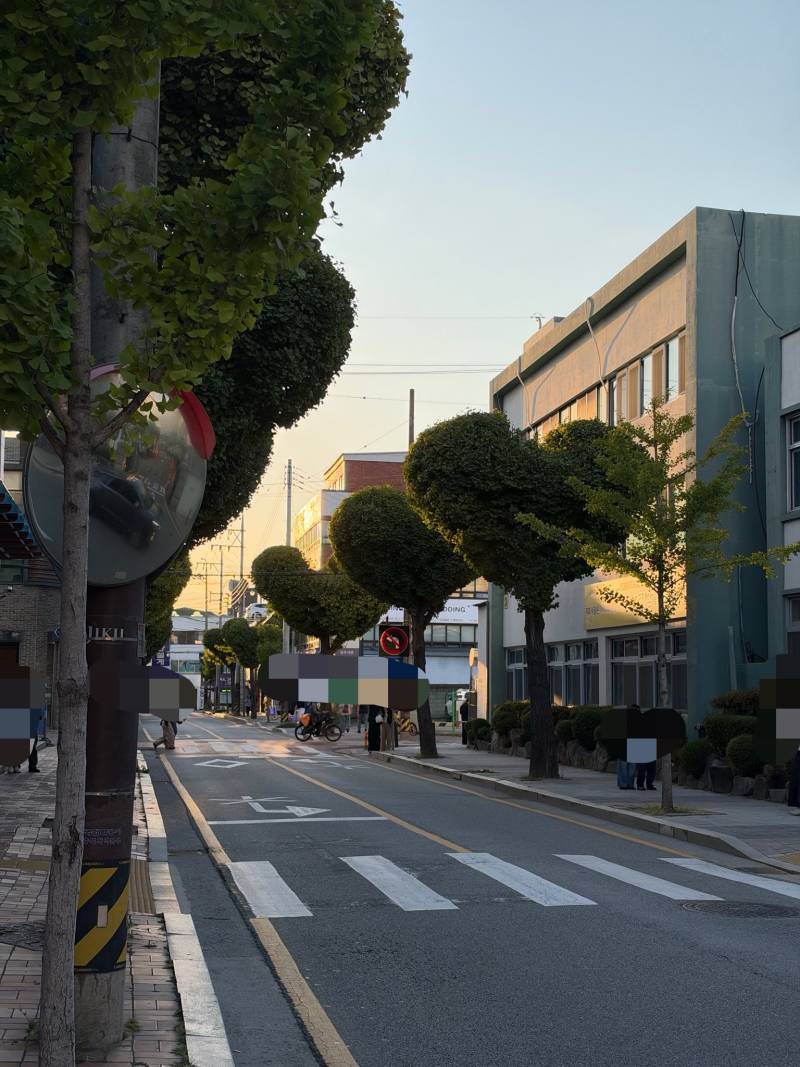 청주 하트나무길 실제 모습 사진의 내용을 보여주는 이미지 관련 이미지 2