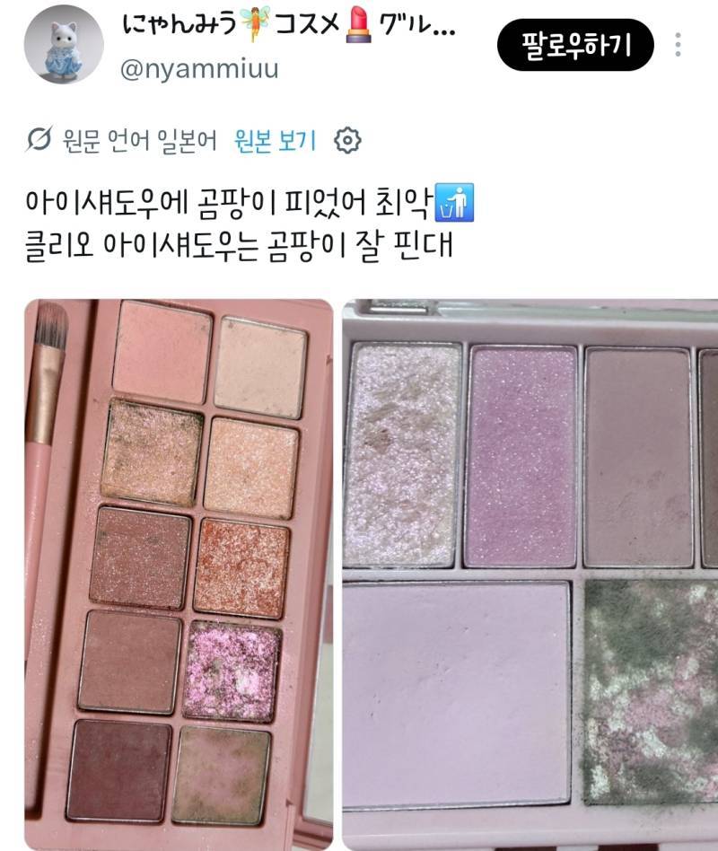 클리오 아이섀도우에 곰팡이가 피었다는 일녀의 내용을 보여주는 이미지