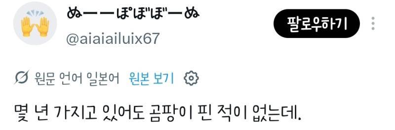 클리오 아이섀도우에 곰팡이가 피었다는 일녀의 내용을 보여주는 이미지 관련 이미지 10