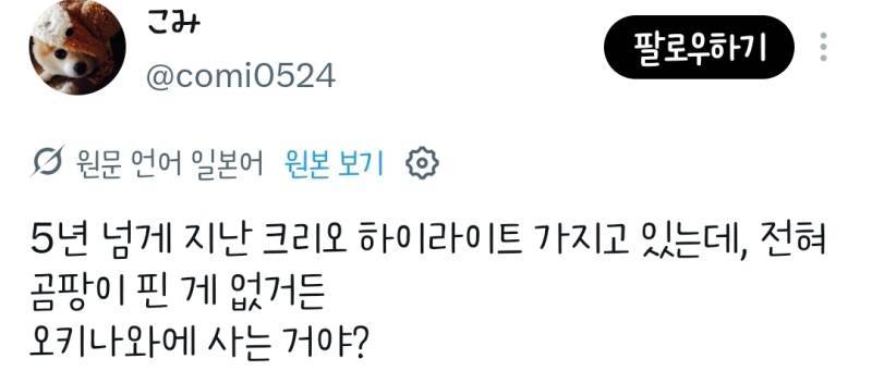 클리오 아이섀도우에 곰팡이가 피었다는 일녀의 내용을 보여주는 이미지 관련 이미지 11