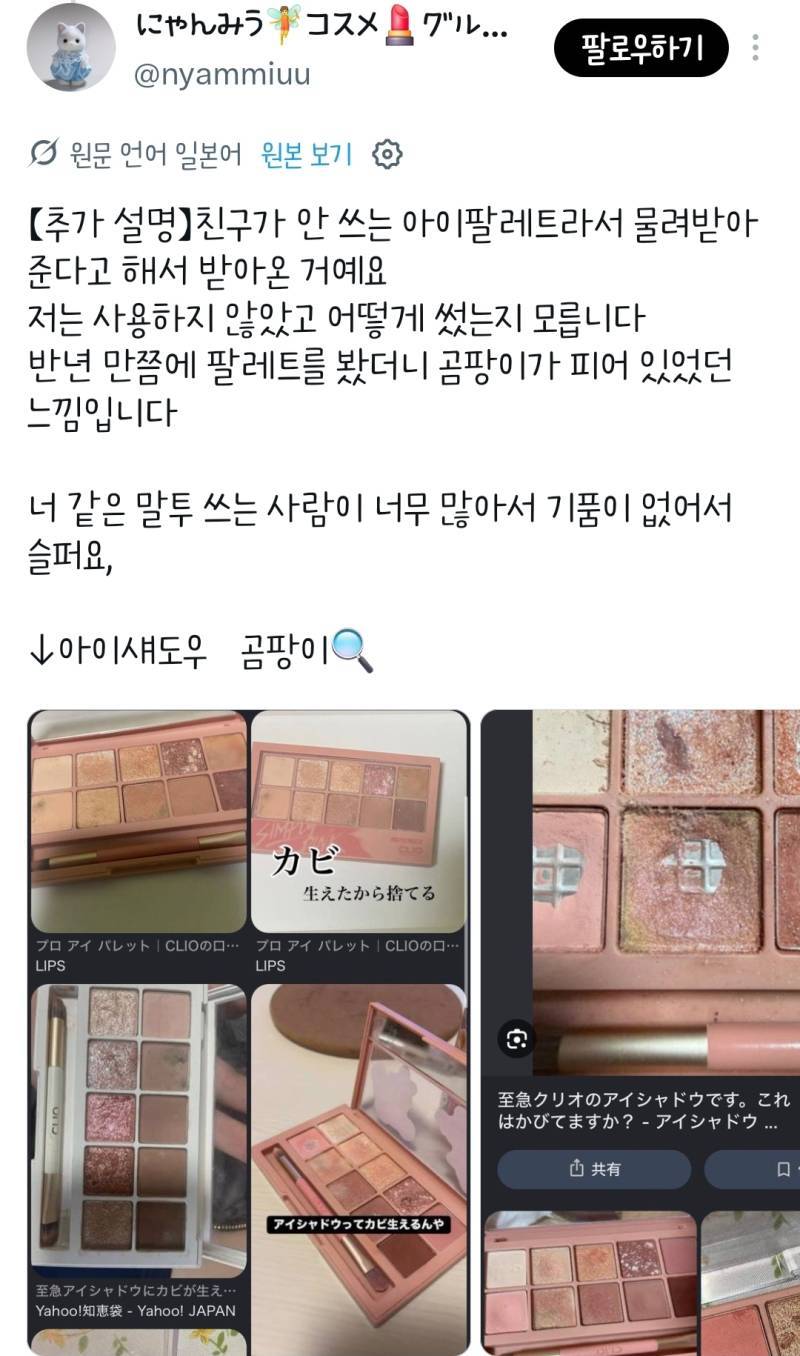 클리오 아이섀도우에 곰팡이가 피었다는 일녀의 내용을 보여주는 이미지 관련 이미지 2