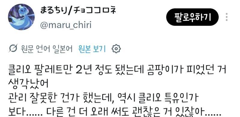클리오 아이섀도우에 곰팡이가 피었다는 일녀의 내용을 보여주는 이미지 관련 이미지 6