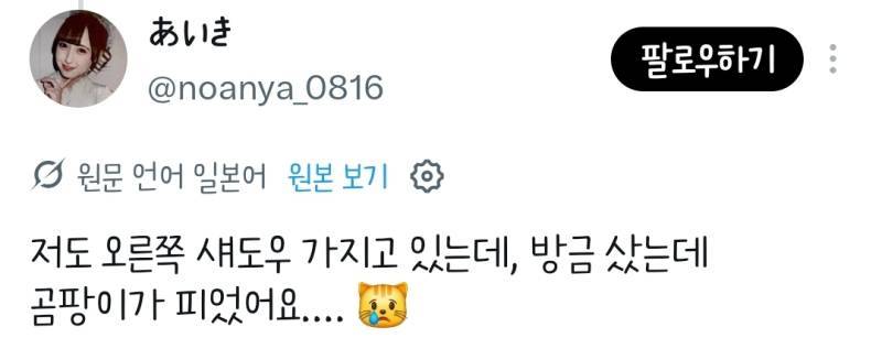 클리오 아이섀도우에 곰팡이가 피었다는 일녀의 내용을 보여주는 이미지 관련 이미지 7
