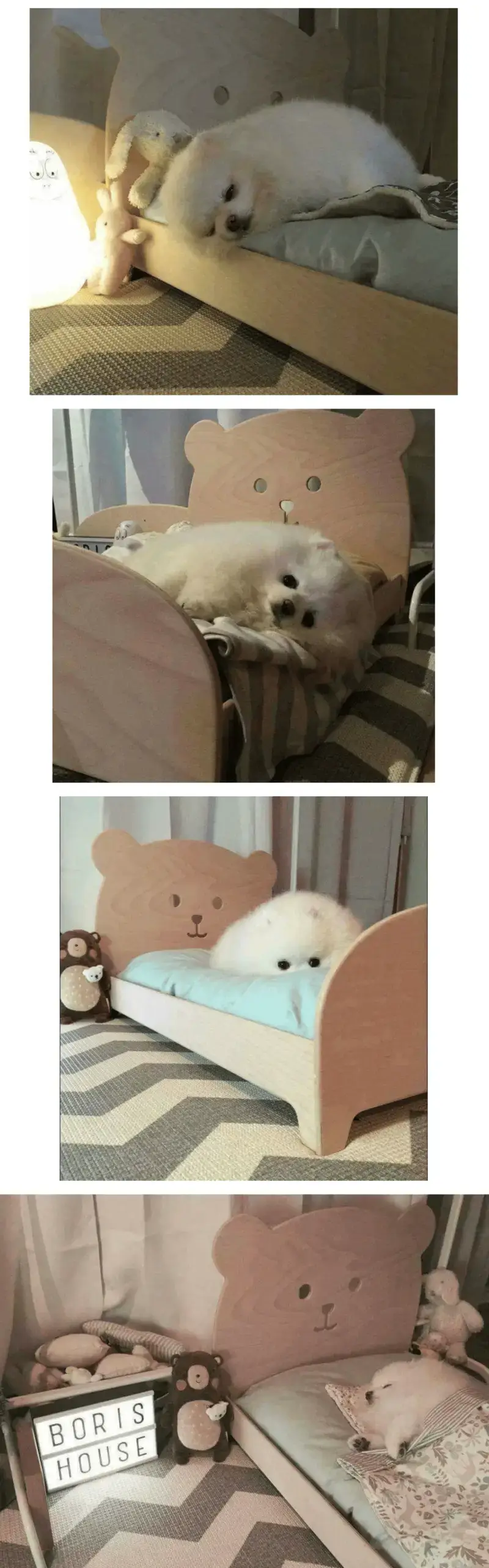 강아지에게 침대를 사줬더니...의 내용을 보여주는 이미지