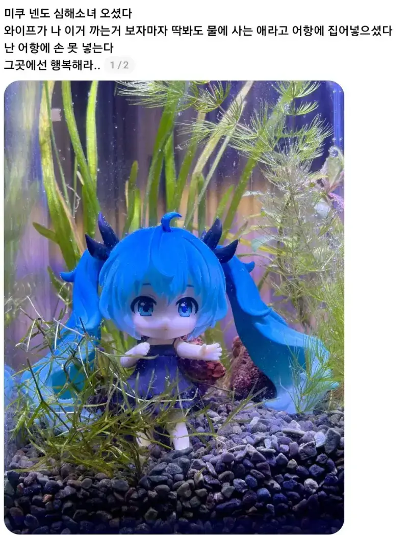 e_s7e4848002_35b5f434303e2970f4510c6e97c82123c8234c09.webp