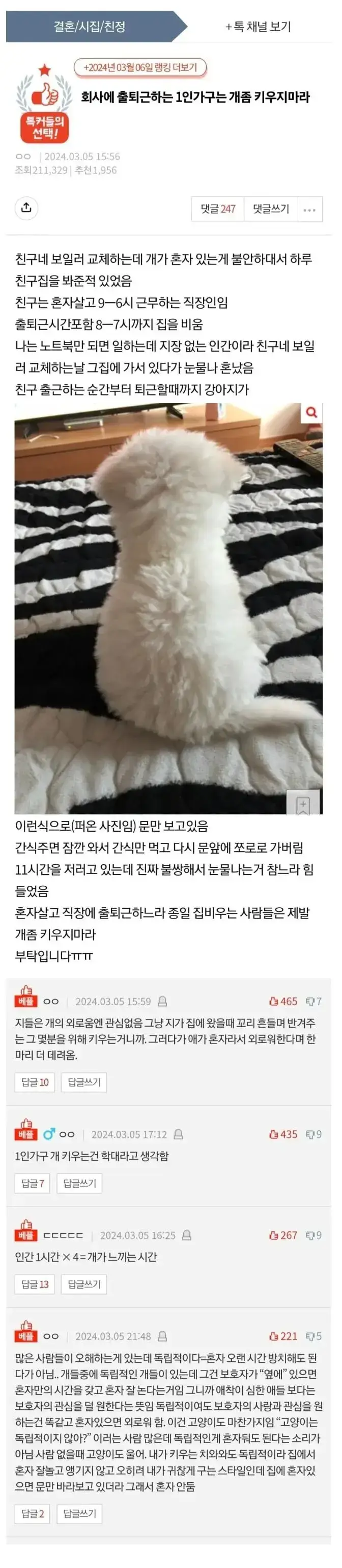 회사 출퇴근하는 1인 가구는 개 좀 키우지마라의 내용을 보여주는 이미지